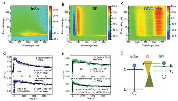 深圳大学张晗、郭志男Adv. Sci.:基于石墨烯隔离层的纳米二维范德华力异质结构的光电探测器