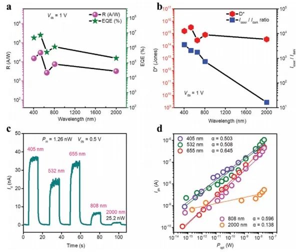 深圳大学张晗、郭志男Adv. Sci.:基于石墨烯隔离层的纳米二维范德华力异质结构的光电探测器