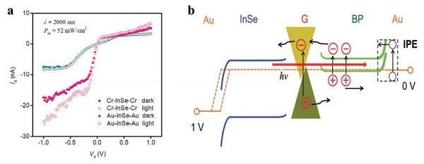 深圳大学张晗、郭志男Adv. Sci.:基于石墨烯隔离层的纳米二维范德华力异质结构的光电探测器