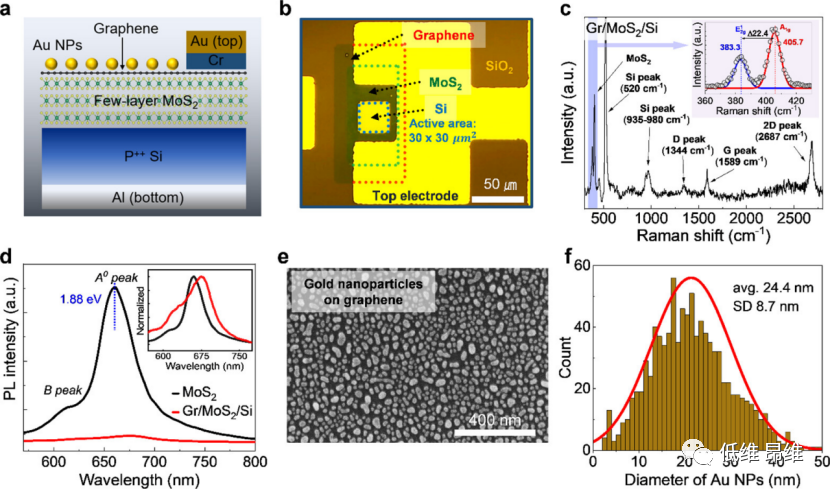 ACS Nano：石墨烯吸收体上的等离激元纳米颗粒，用于宽带高响应率2D/3D光电二极管