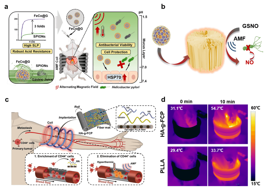 湖南大学陈卓课题组Chem. Biomed. Imaging综述 | 磁性烯碳纳米囊的制造、分类和诊疗应用