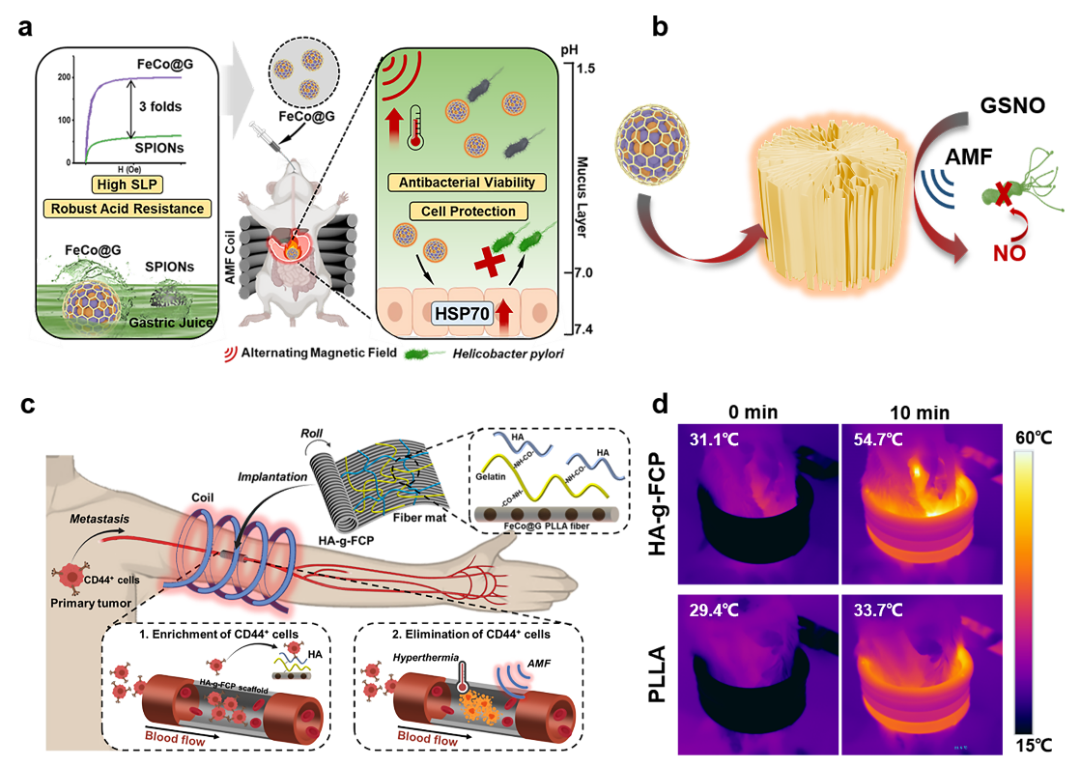 湖南大学陈卓课题组Chem. Biomed. Imaging综述 | 磁性烯碳纳米囊的制造、分类和诊疗应用