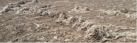 石墨烯研究院新产品——石墨烯可降解地膜产业化取得重大突破