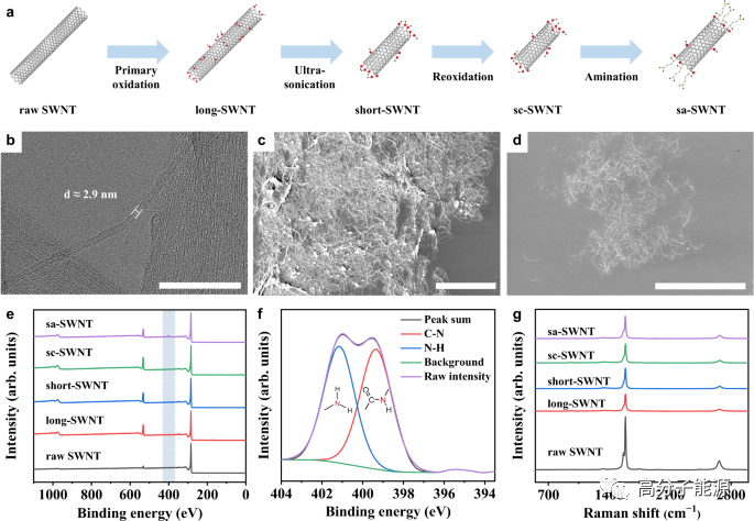 北大张锦院士NC:碳纳米管助力坚固而坚韧的芳纶纤维