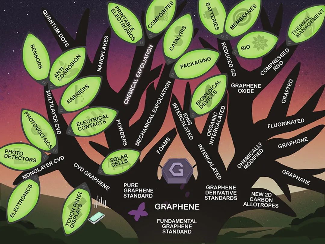 朱彦武、瞿研、Novoselev重磅综述：石墨烯标准化的中国经验