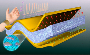 2min带你领略顶刊中石墨烯纳米片的应用