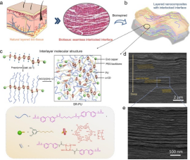 2min带你领略顶刊中石墨烯纳米片的应用