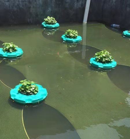 石墨烯应用：埃烯水生态网（AG-WEB）