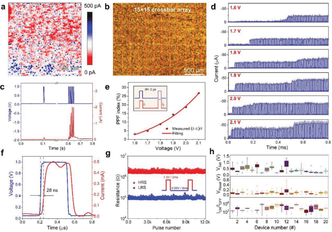 Adv. Funct. Mater.: 通过化学破坏自组装Janus氧化石墨烯用于大面积高性能的忆阻器