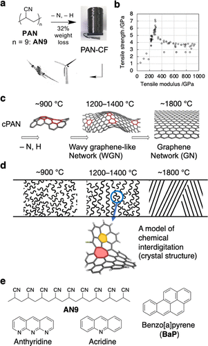 JACS:聚丙烯腈热解成碳纤维过程中竟然形成了波纹状石墨烯网络