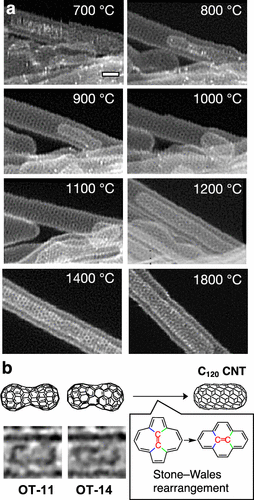 JACS:聚丙烯腈热解成碳纤维过程中竟然形成了波纹状石墨烯网络