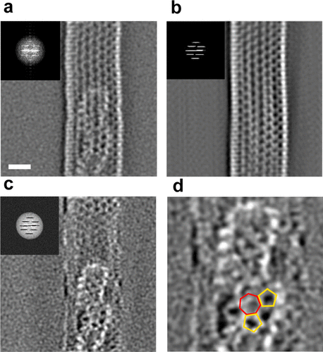 JACS:聚丙烯腈热解成碳纤维过程中竟然形成了波纹状石墨烯网络