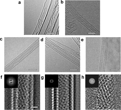 JACS:聚丙烯腈热解成碳纤维过程中竟然形成了波纹状石墨烯网络