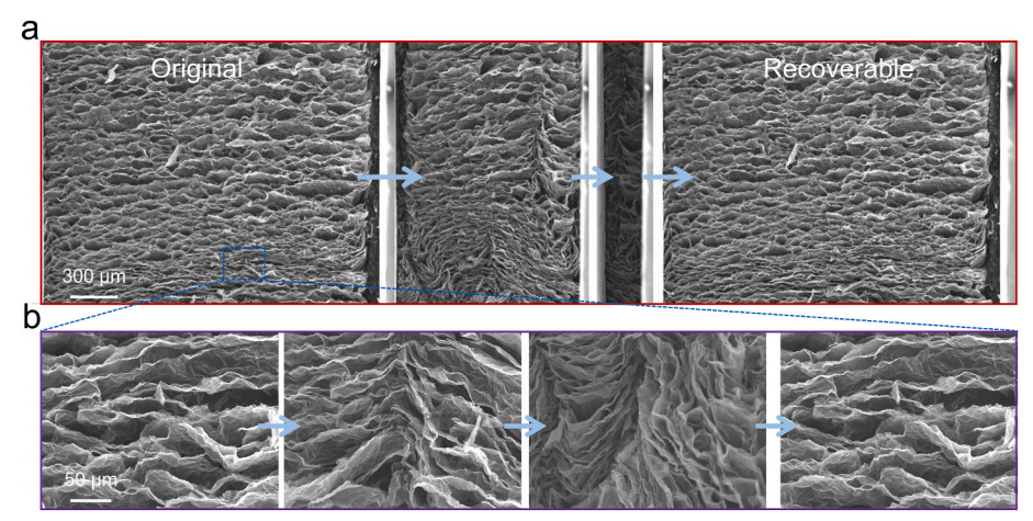一种具有优异的导热性能的石墨烯基热界面材料