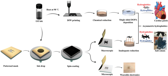 南方医科大学王乐禹教授《AFM》: 心脏修复用不对称疏水/亲水超薄氧化石墨膜的研制！