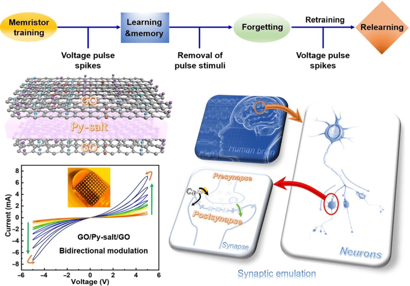 Nano Res.[器件]│苏州科技大学李阳课题组：“无”中生“有”——有机离子盐夹心层助力氧化石墨烯忆阻器实现人工突触