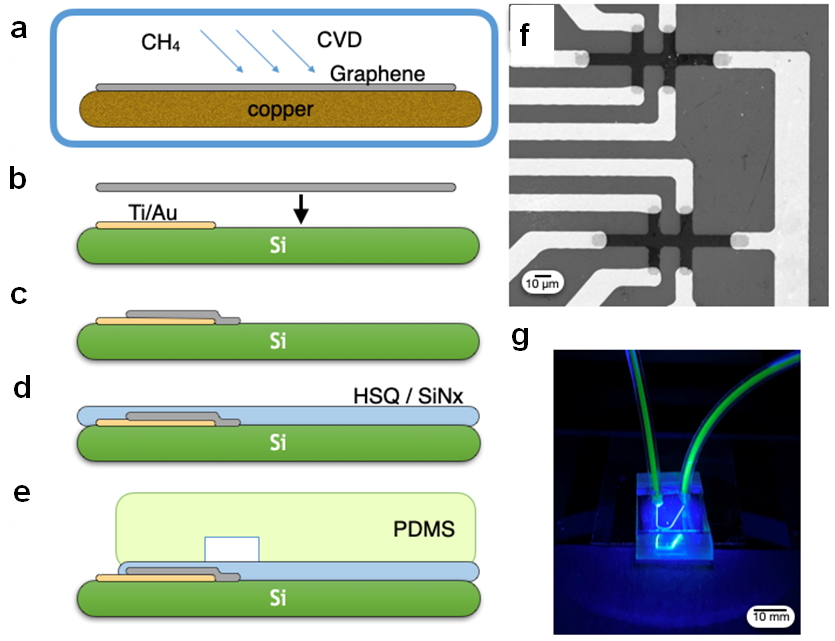 最新成果 | 宾夕法尼亚大学David Issadore教授团队：石墨烯霍尔传感器在全血磁传感微流控平台上的高度稳定集成