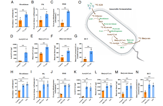 国家纳米科学中心陈春英团队PNAS：给小老鼠喂食碳纳米材料，被Nature亮点报道！