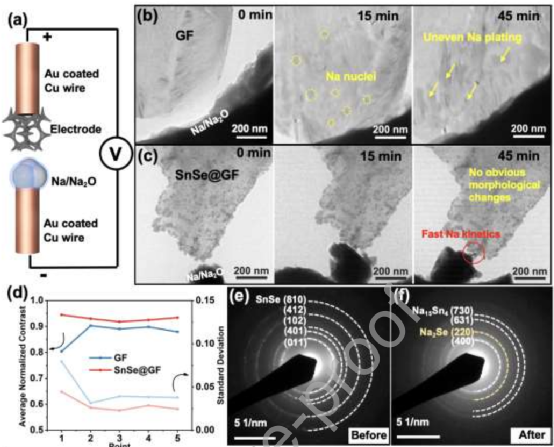 香港科技大学罗正汤等EnSM：无枝晶金属钠电池，​三维石墨烯基体上均匀的SnSe纳米颗粒的双核位点界面