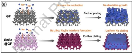 香港科技大学罗正汤等EnSM：无枝晶金属钠电池，​三维石墨烯基体上均匀的SnSe纳米颗粒的双核位点界面