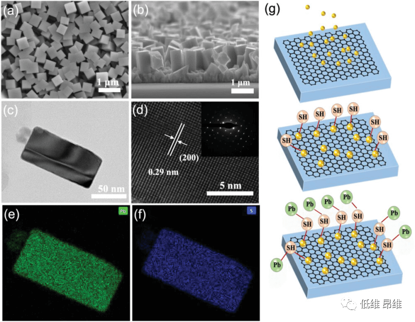 Adv. Optical Mater.：基于夹在石墨烯电极之间原位排列单晶PbS纳米立方体的垂直光电探测器