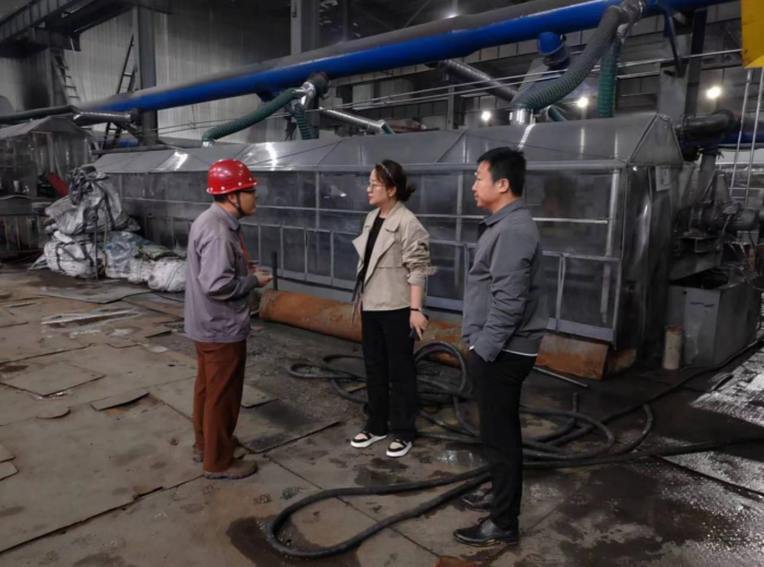 市生态环境局开展中央生态环境保护督察萝北石墨园区典型案例整改督导工作