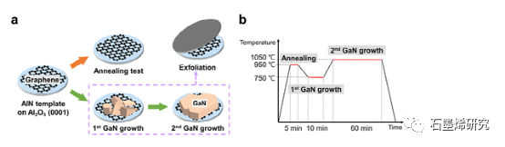 光州科学技术研究所Dong-Seon Lee--石墨烯的稳定性及AlN表面凹坑对GaN远程异质外延剥离的影响