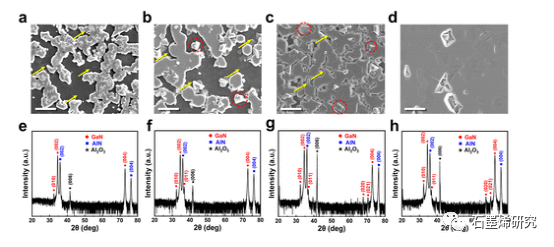 光州科学技术研究所Dong-Seon Lee--石墨烯的稳定性及AlN表面凹坑对GaN远程异质外延剥离的影响