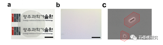 光州科学技术研究所Dong-Seon Lee--石墨烯的稳定性及AlN表面凹坑对GaN远程异质外延剥离的影响