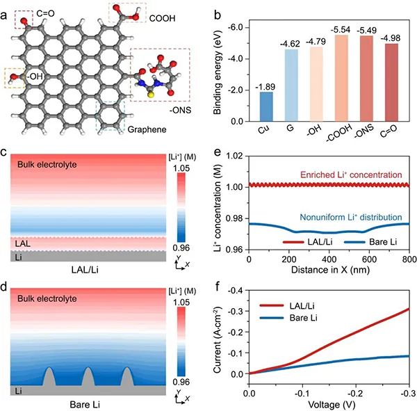 ​复旦彭慧胜&王兵杰Angew：石墨烯量子点助力高性能锂金属负极