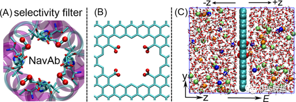 设计具有阳离子价态选择性的仿生石墨烯孔