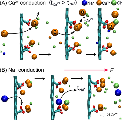 设计具有阳离子价态选择性的仿生石墨烯孔