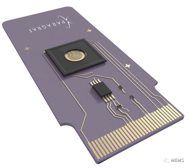 世界首创：通过石墨烯生物传感器同时检测蛋白质和RNA生物信号