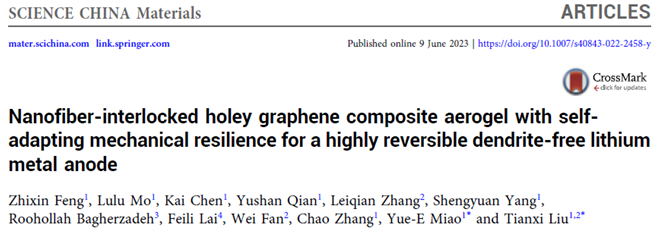 SCMs|具有自适应机械弹性的纳米纤维互锁多孔石墨烯复合气凝胶用于高度可逆的无枝晶锂金属负极