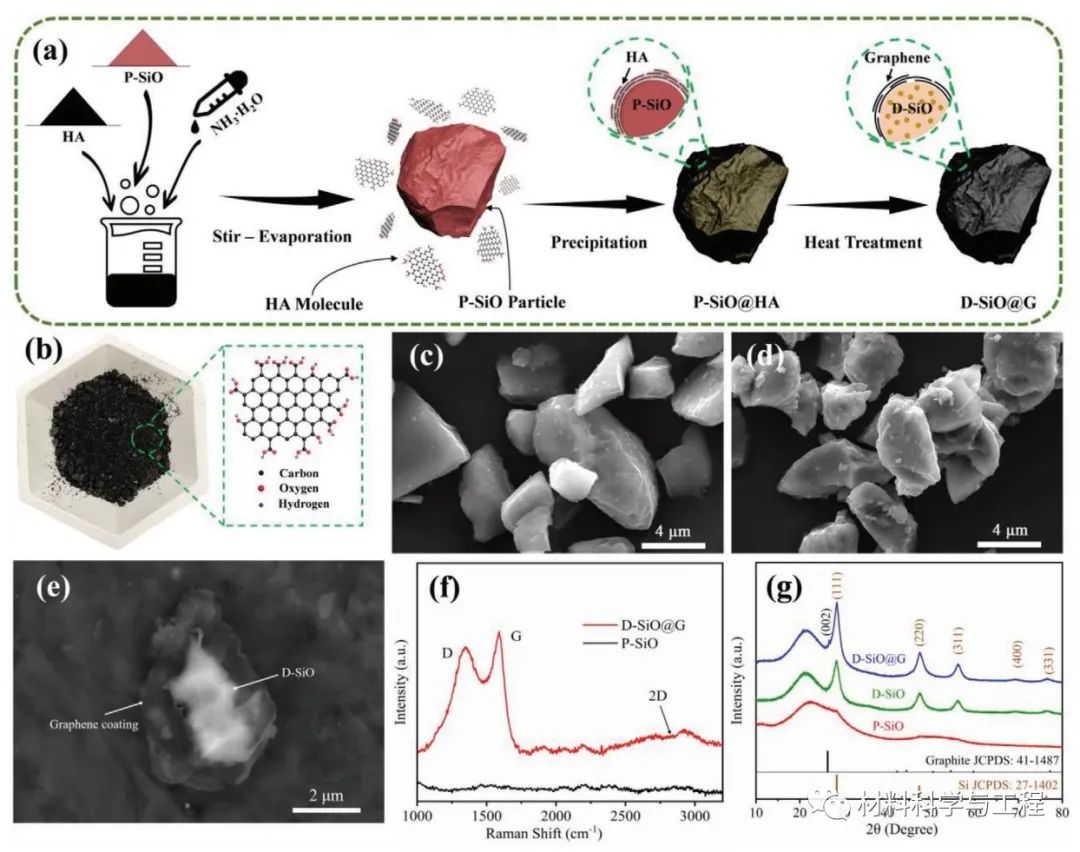 图1a) D-SiO@G负极材料的合成工艺示意图；b) 腐殖酸和其典型分子模型；c)P-SiO和d)D-SiO@G的SEM图；e)氟化氢刻蚀D-SiO@G粒子的背散射电子显微照片；f)P-SiO和D-SiO@G的拉曼光谱图；g)P-SiO、D-SiO和D-SiO@Gsamples的XRD图谱
