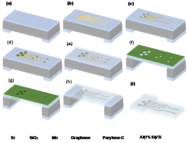 最新成果|代尔夫特理工大学V. Giagka团队：采用无转移工艺的多层CVD石墨烯电极，用于下一代光学透明和MRI兼容的神经接口