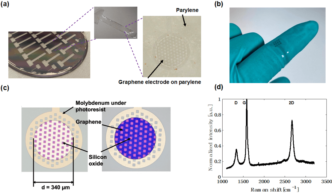 最新成果|代尔夫特理工大学V. Giagka团队：采用无转移工艺的多层CVD石墨烯电极，用于下一代光学透明和MRI兼容的神经接口
