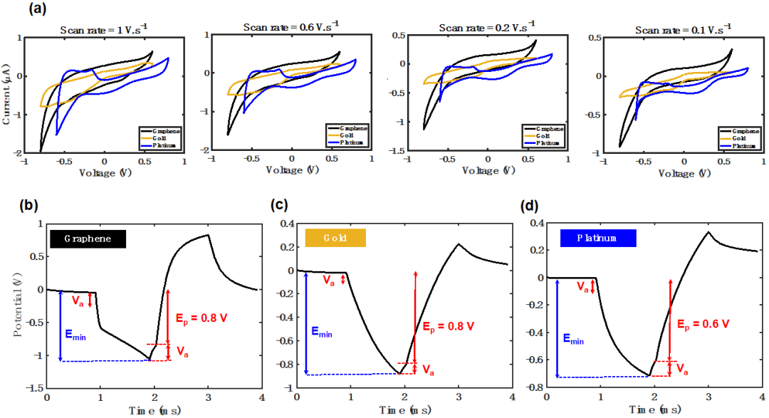 最新成果|代尔夫特理工大学V. Giagka团队：采用无转移工艺的多层CVD石墨烯电极，用于下一代光学透明和MRI兼容的神经接口