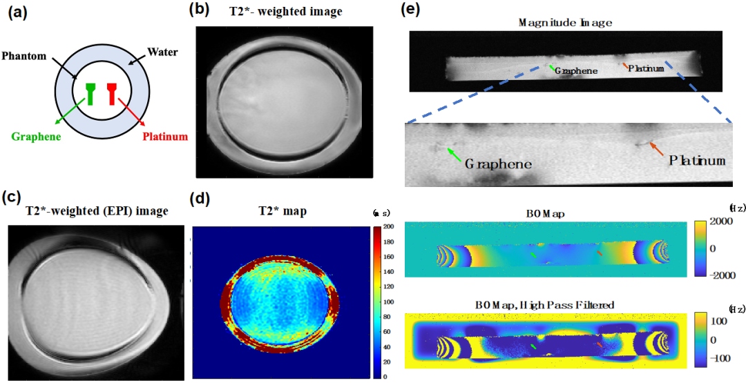 最新成果|代尔夫特理工大学V. Giagka团队：采用无转移工艺的多层CVD石墨烯电极，用于下一代光学透明和MRI兼容的神经接口