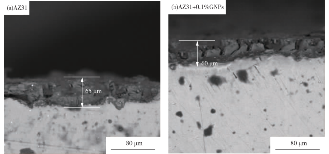 刘乃华，华振虎，蓝永庭 | 石墨烯对AZ31镁合金在模拟体液中腐蚀性能的影响