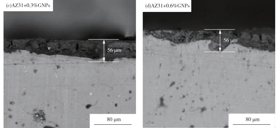 刘乃华，华振虎，蓝永庭 | 石墨烯对AZ31镁合金在模拟体液中腐蚀性能的影响