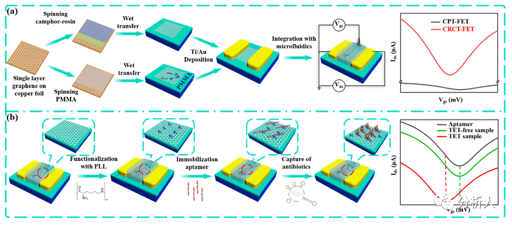 Analytical Chemistry：基于适配体功能化的超洁净石墨烯场效应晶体管生化传感器对抗生素的超灵敏检测