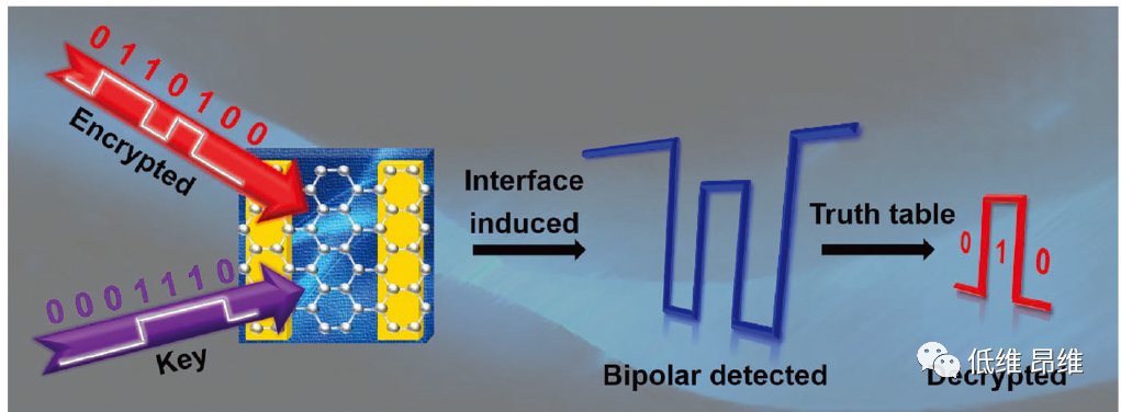 Adv. Electron. Mater.：石墨烯/GaN异质结中的双极性光响应及其在自由空间安全光通信中的应用