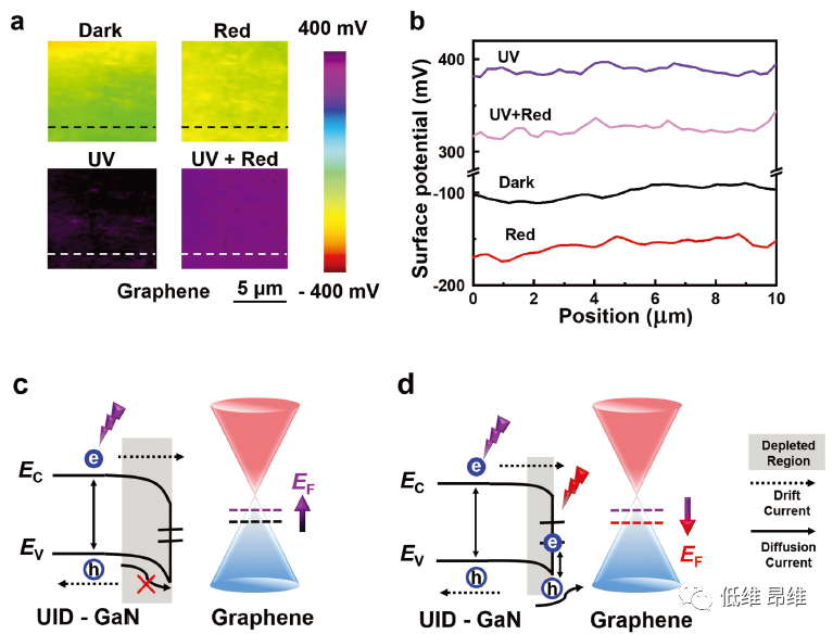 Adv. Electron. Mater.：石墨烯/GaN异质结中的双极性光响应及其在自由空间安全光通信中的应用