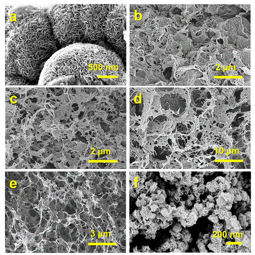 印度理工学院《ACS ANM》:石墨烯气凝胶上修饰MoS2纳米花，用于可见光驱动的四环素光催化降解