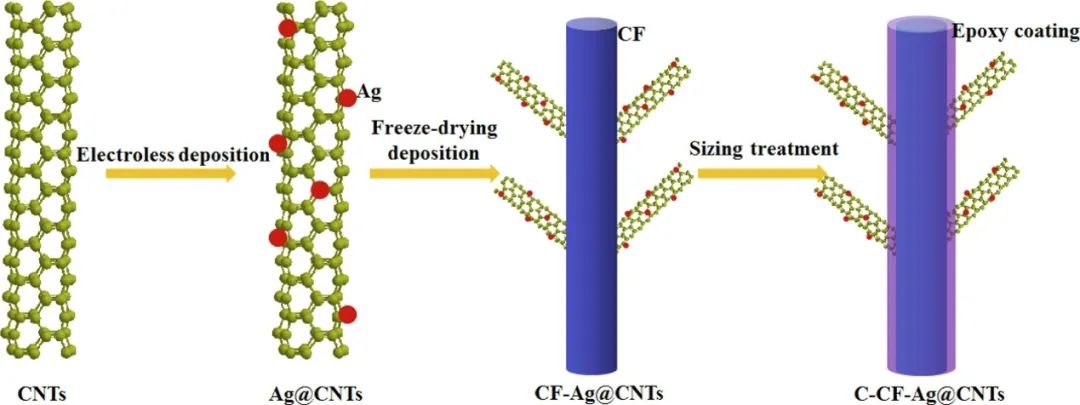 福建物质结构研究所《Composites Part A》：镀银碳纳米管沉积碳纤维增强复合材料