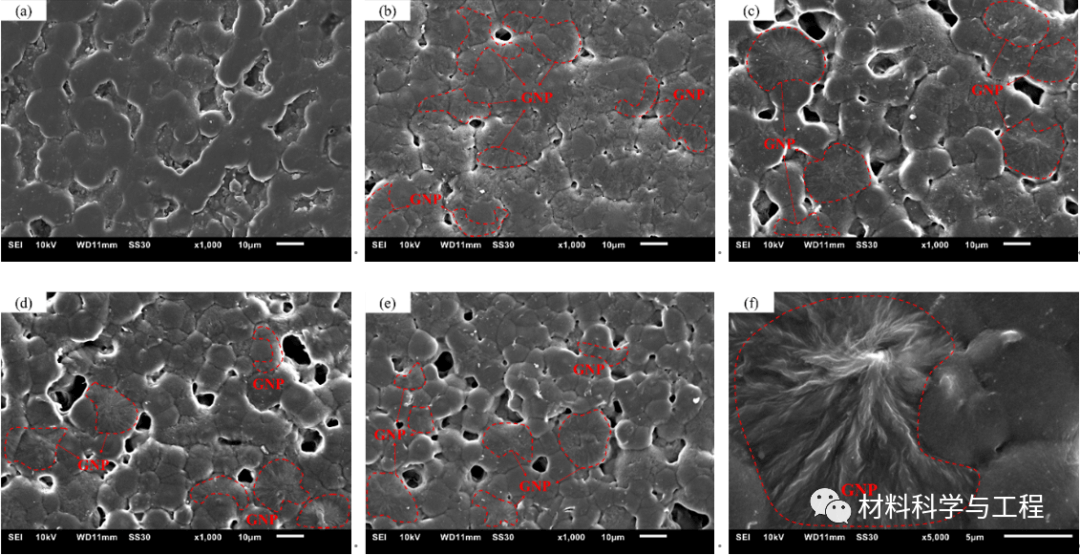 南京工业大学冯闯教授团队：石墨烯纳米片增强聚偏氟乙烯复合膜的强热释电性