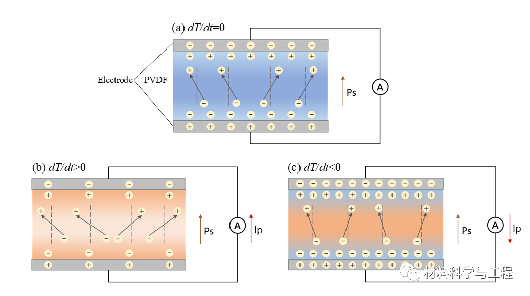 南京工业大学冯闯教授团队：石墨烯纳米片增强聚偏氟乙烯复合膜的强热释电性
