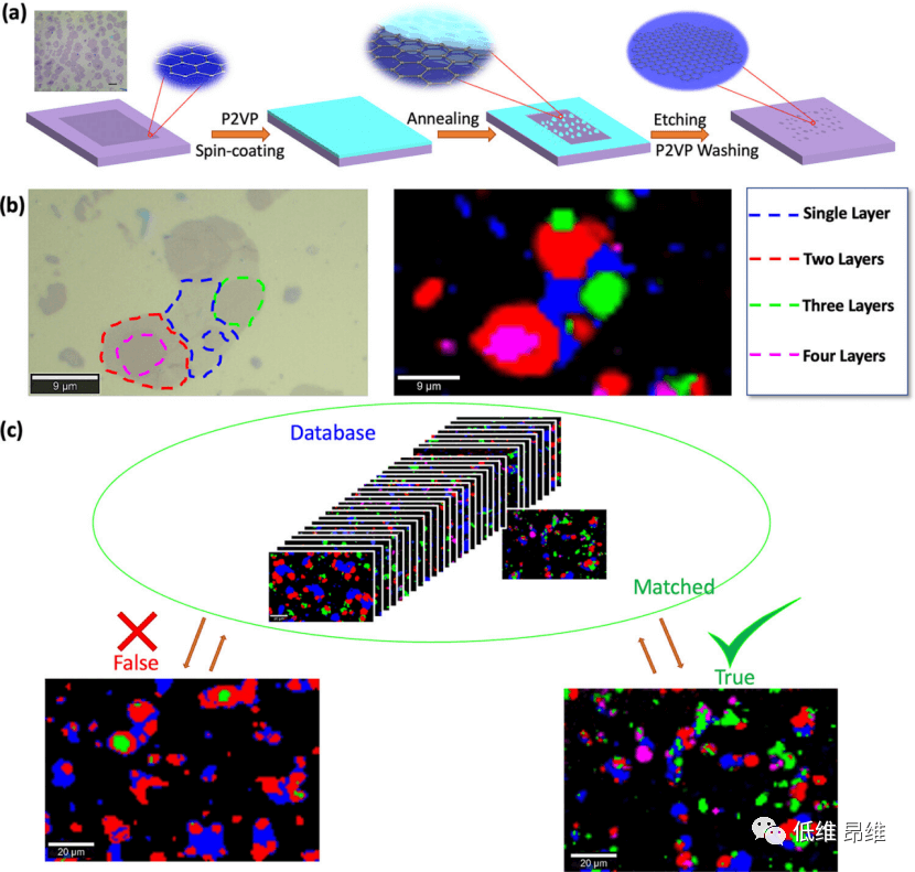 ACS Appl. Mater. Interfaces：具有随机双重来源的石墨烯基物理不可克隆函数
