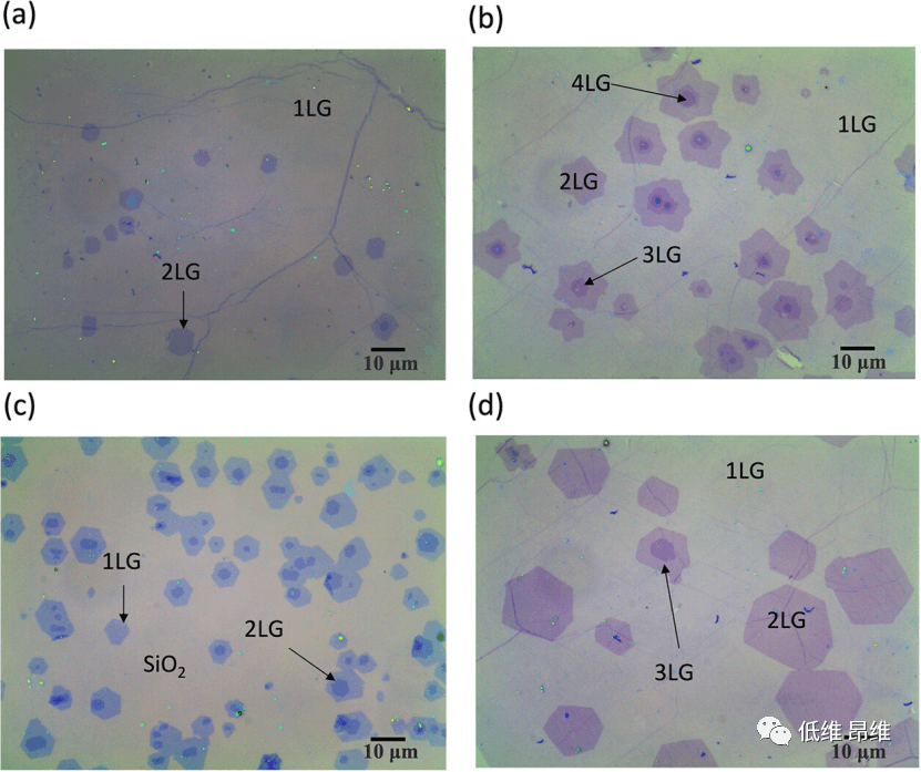 ACS Appl. Mater. Interfaces：具有随机双重来源的石墨烯基物理不可克隆函数
